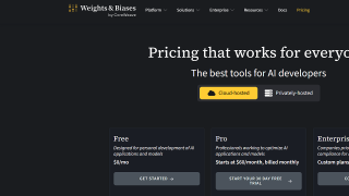 Weights & Biases screenshot 2